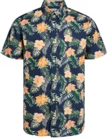 variation-icon-Medieval Blue Tender Peach