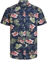 variation-icon-Madison Strawberry Rose