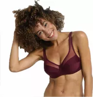 variation-icon-Μπορντό