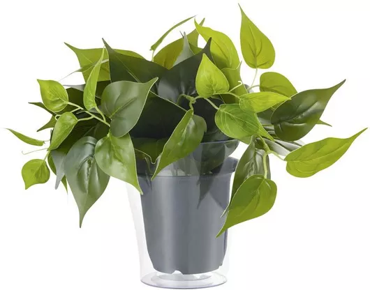 Trio Lighting Plant Κρεμαστό 92945 Πράσινο