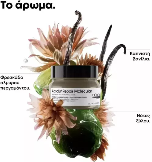 Μάσκα Μαλλιών L'Oréal Professionnel Serie Expert Absolut Repair Molecural για Επανόρθωση 500ml