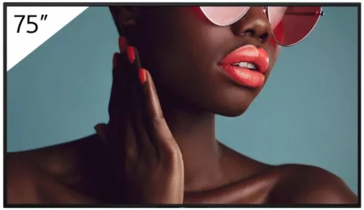 Public Display Sony S7796924 LED 75" HDR