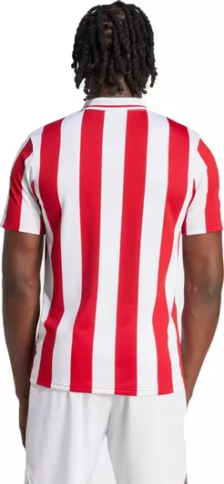 Large - Φανέλα Επετειακή 100 Χρόνια Ολυμπιακός Adidas