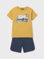 variation-icon-Κίτρινο