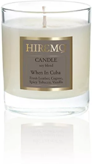 Αρωματικό Κερί Eolia Cosmetics Σόγιας