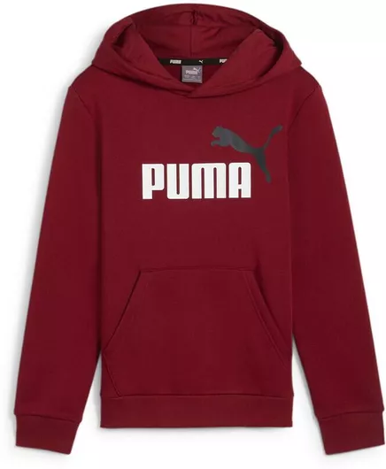 Puma Παιδικό Φούτερ με Κουκούλα και Τσέπες Μπορντώ Ess+ 2