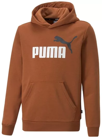 Puma Παιδικό Φούτερ με Κουκούλα και Τσέπες Καφέ