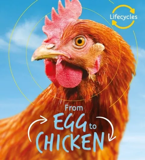 Lifecycles: Egg yo Chicken