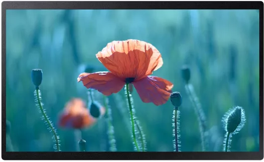 Public Display Samsung QB24R-B LED 4K UHD 24"