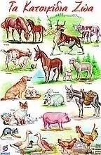 Τα κατοικίδια ζώα