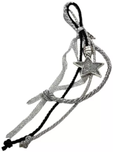 Γούρι Edel 253200650 Χριστουγεννιατικο Κρεμαστο 2025 Αστερι Dust Silver 25 Εκ.