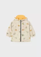 variation-icon-Illusive Dream