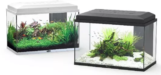 Ενυδρείο Ψαριών Aquatlantis Funny Fish 50 33.5lt Μαύρο