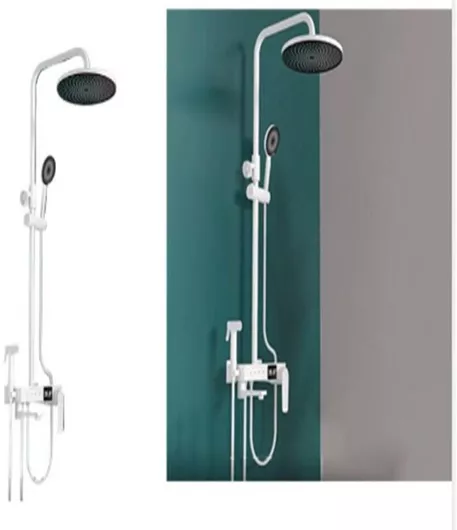 Τηλέφωνο Ντουζ SDS με Σπιράλ