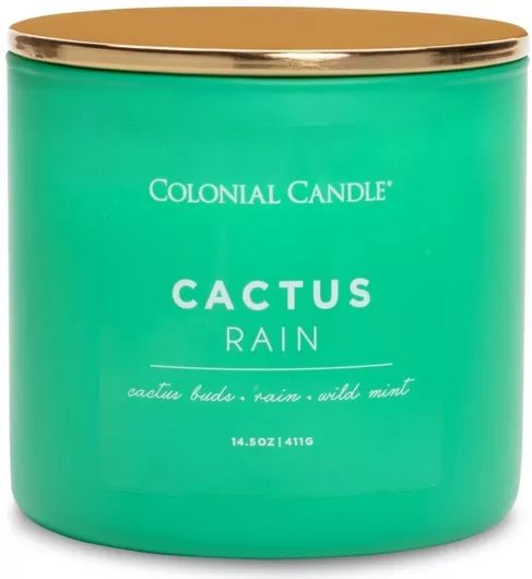Κερί Αρωματικό 3 Φυτίλια Γυάλινο Δοχείο Cactus Rain 411 Γραμ Pop
