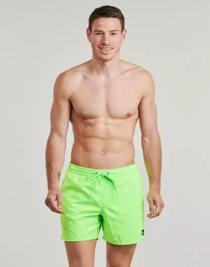 Quiksilver Everyday Ανδρικό Μαγιό Σορτς Πράσινο