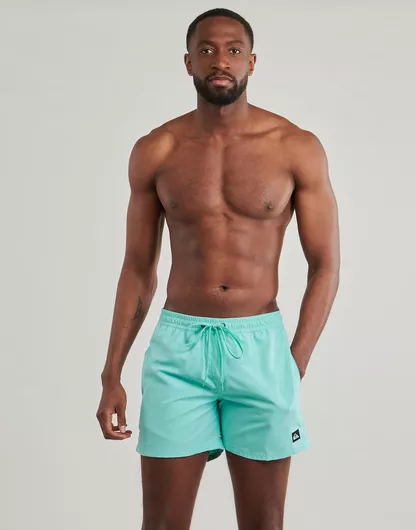 Quiksilver Everyday Ανδρικό Μπλε Μαγιό Σορτς