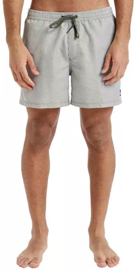 Quiksilver Everyday Deluxe Ανδρικό Μαγιό Σορτς Πράσινο