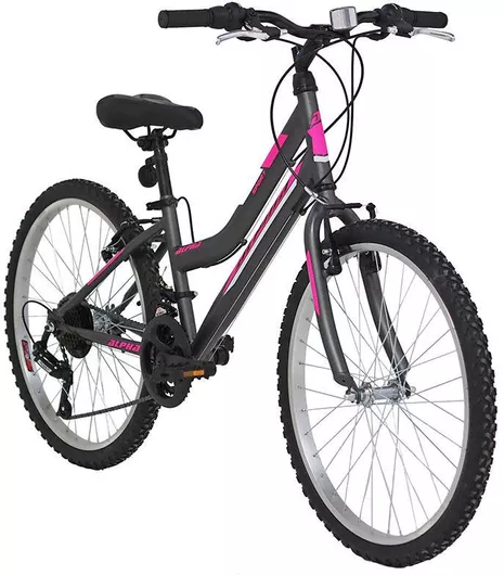 Παιδικό Mountain Bike Alpina Alpha 24" 21 Ταχυτήτων 2023 Γκρι