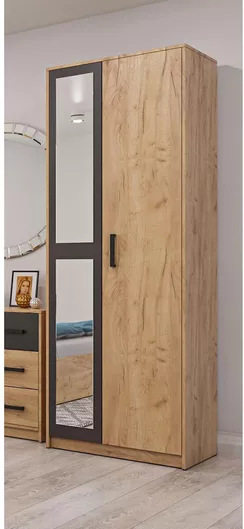 Ντουλάπα Ρούχων Δίφυλλη Viva με Καθρέπτη 70x50x209cm Χρυσό Δρυς-γραφίτης