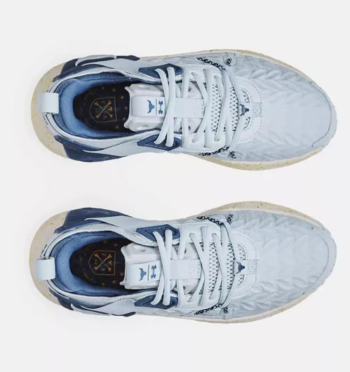 Αθλητικό Παπούτσι Under Armour Project Rock 6 Γυναικεία για Προπόνηση & Γυμναστήριο Γκρι