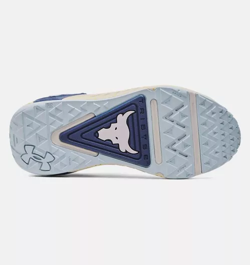 Αθλητικό Παπούτσι Under Armour Project Rock 6 Γυναικεία για Προπόνηση & Γυμναστήριο Γκρι