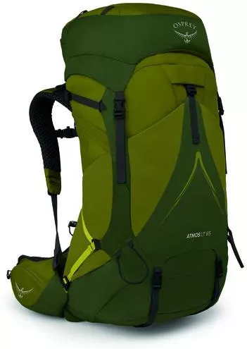 Osprey Atmos AG LT 65 Waterproof Hiking Backpack 65L Scenic Valley / Green Peppercorn