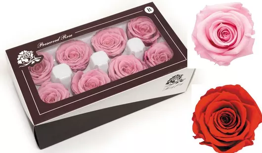 Τεχνητό Φυτό Βαλσαμωμενο Τριανταφυλλο 5cm Κουτι 8τεμ 0516178 Κοκκινο