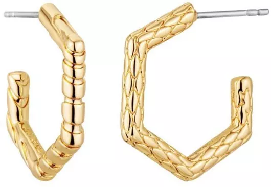 Σκουλαρίκια Just Cavalli