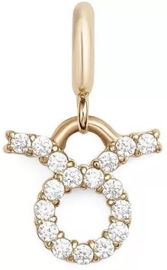 Daniel Wellington Charm Zodiac Taurus in Gold-Plated Steel