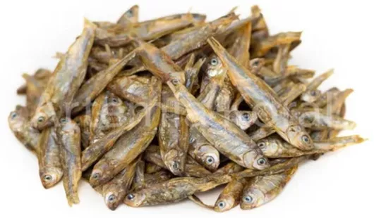 Τροφή Ερπετού Αποξηραμένα Ψαράκια 3-5 Cm 100ml/15gr