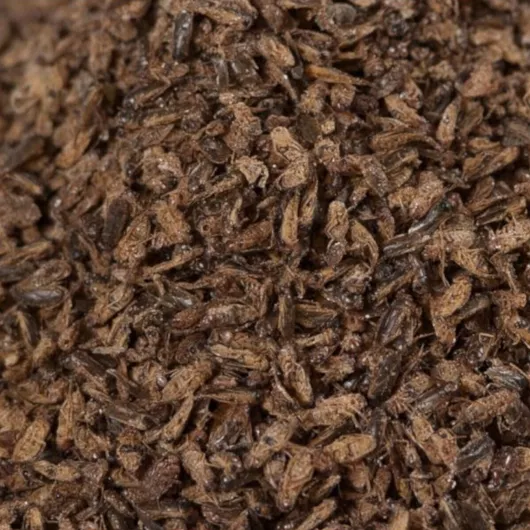 Τροφή Ερπετού Αποξηραμένες Μύγες 5 Mm 1000ml/400gr
