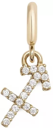 Daniel Wellington Charm Zodiac Sagittarius in Gold-Plated Steel