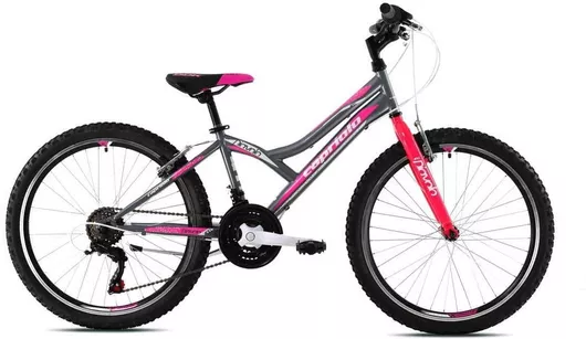Παιδικό Mountain Bike Capriolo 24" 2024 Γκρι