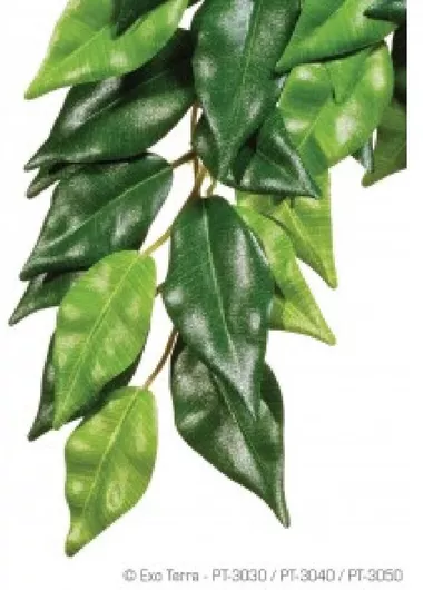 Διακοσμητικό Ενυδρείου Ερπετών Exo Terra