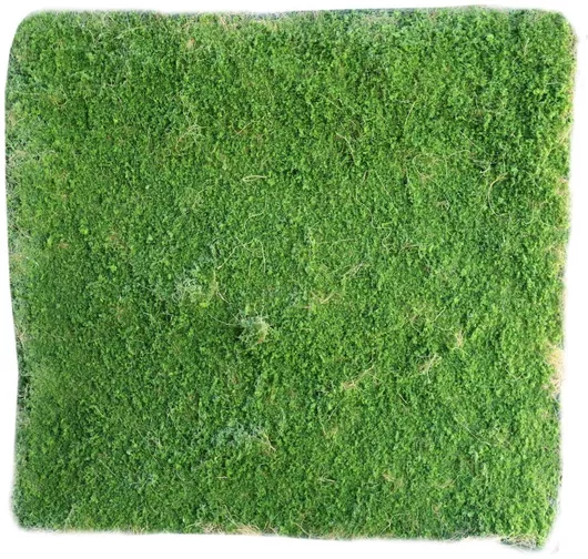 Συνθετικό Πάνελ Φυλλωσιάς Supergreens Moss 1x1m Πράσινο