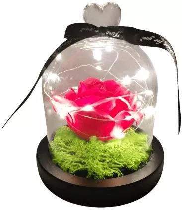 Γυάλα Κόκκινο Τριαντάφυλλο Led Φως 13x11cm 8472404red