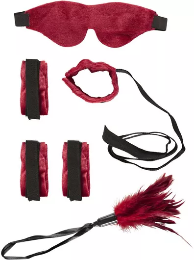 Αποκριάτικα Φτερά Πλάτης 1τμχ