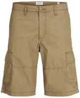 variation-icon-Μπεζ