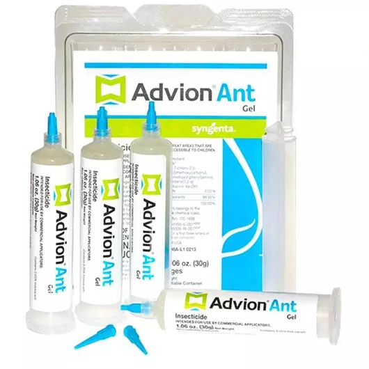 Εντομοκτόνο Syngenta Advion Ant Gel για Μυρμήγκια 30gr