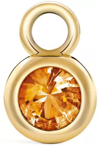 Κολιέ Aleyolé Birthstone Γούρι Επιχρυσωμένο November