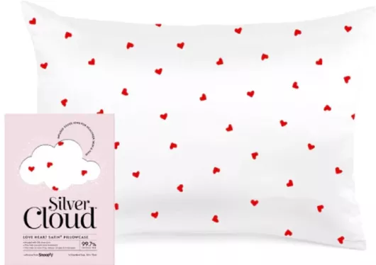 Μαξιλαροθήκη Snoozzy xεκ