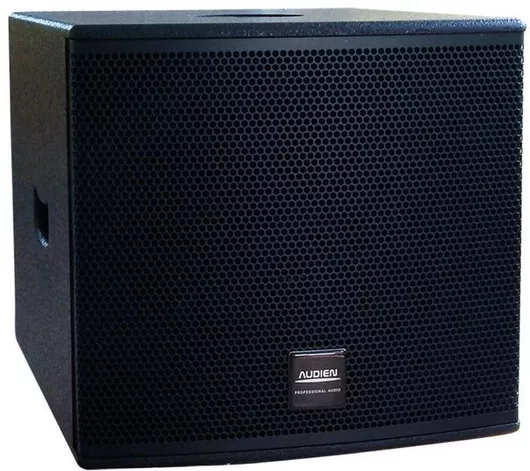 Audien CS-112SUB Passive Subwoofer PA 350W 12"