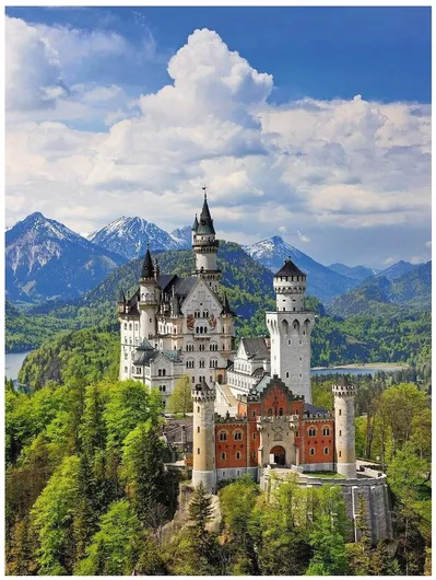 Puzzle Neuschwanstein Castle 2D 500 Κομμάτια