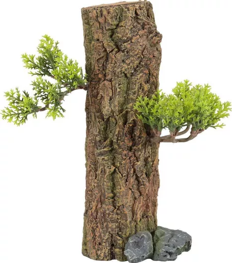 Αξεσουάρ Ενυδρείου Ερπετών Zolux