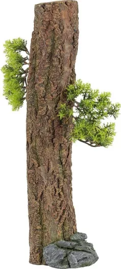 Αξεσουάρ για Ενυδρείο Ερπετού Zolux