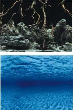 Αξεσουάρ Ενυδρείου Ερπετών Aqua Nova