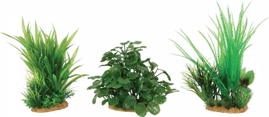 Αξεσουάρ Ενυδρείου Ερπετών Zolux από Πλαστικό