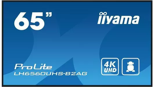 Public Display Iiyama Prolite LED 65"