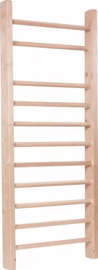 Μονόζυγο Τοίχου Master για Χρήστη έως 200kg